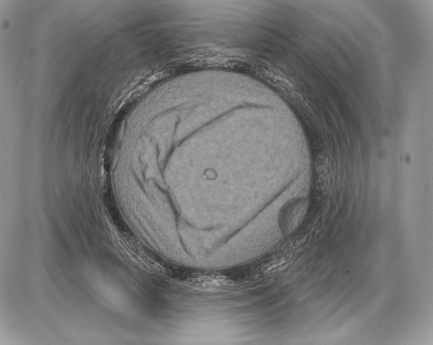 X0000085760642200704131739