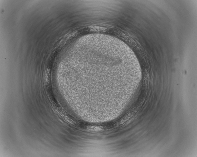 X0000085760649200704131739