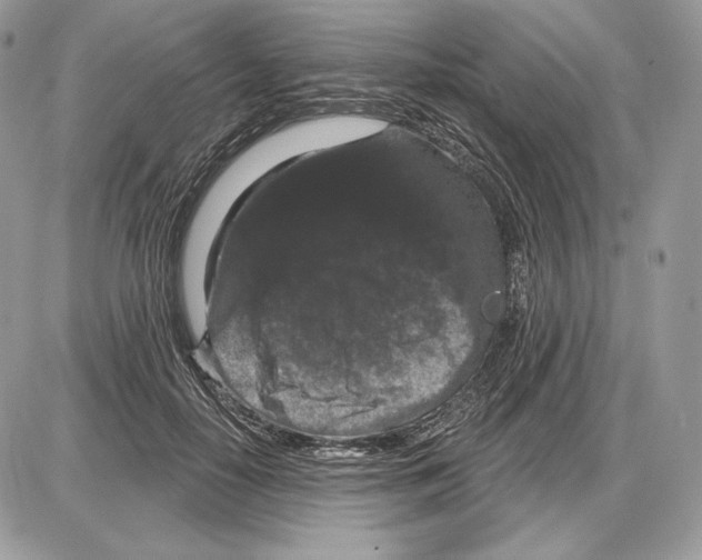 X0000085760650200704131739