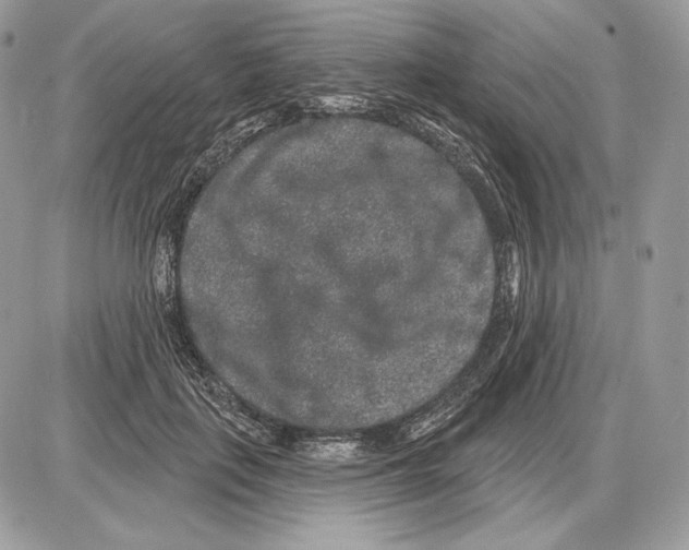 X0000085760651200704131739