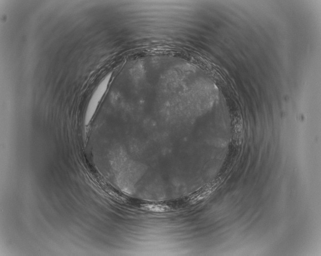 X0000085760654200704131739