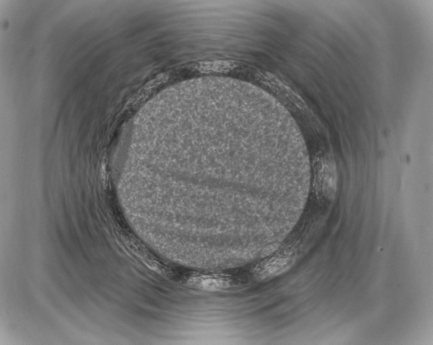 X0000085760655200704131739
