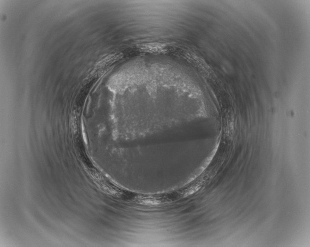 X0000085760658200704131739