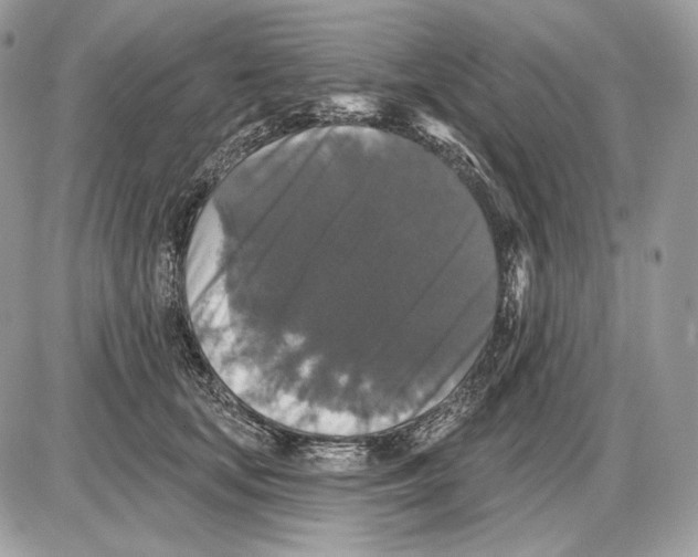 X0000085760659200704131739