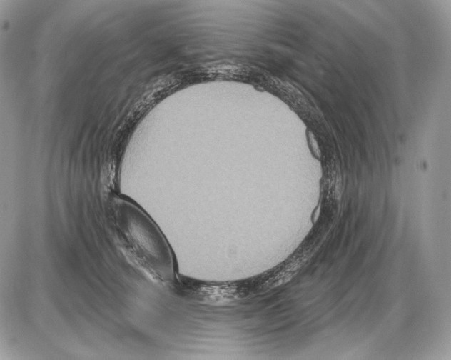 X0000085760660200704131739