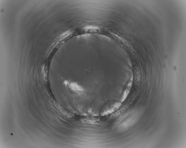 X0000085760661200704131739