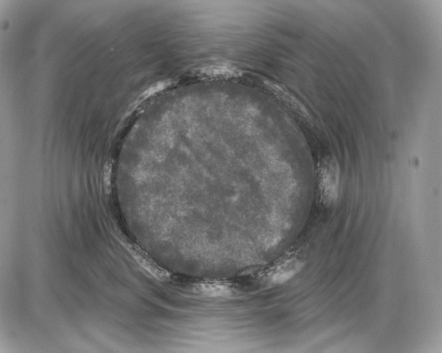 X0000085760668200704131739
