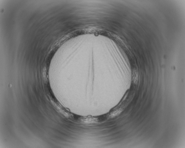 X0000085760670200704131739