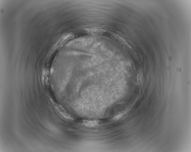 X0000085760671200704131739