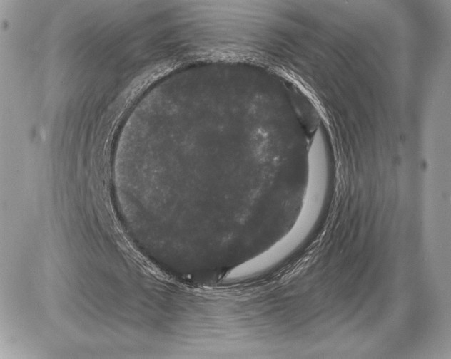 X0000085760673200704131738