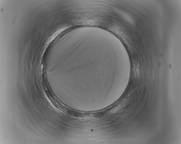 X0000085760674200704131738