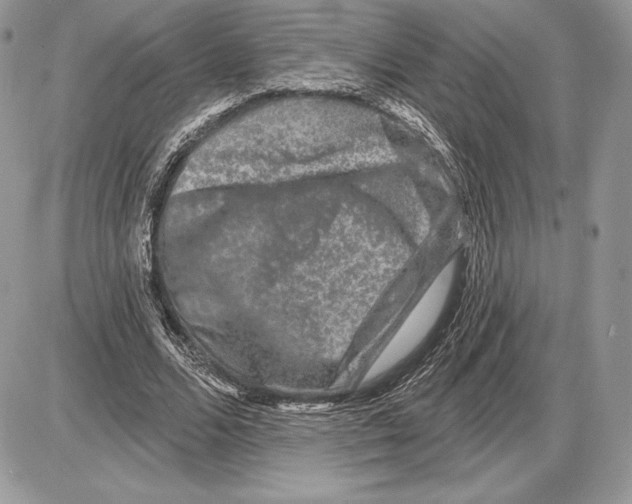X0000085760680200704131738