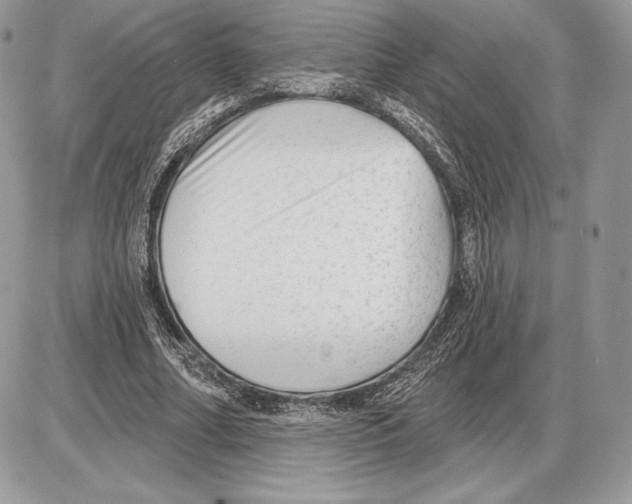 X0000085760682200704131738