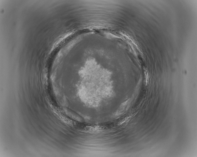 X0000085760688200704131738