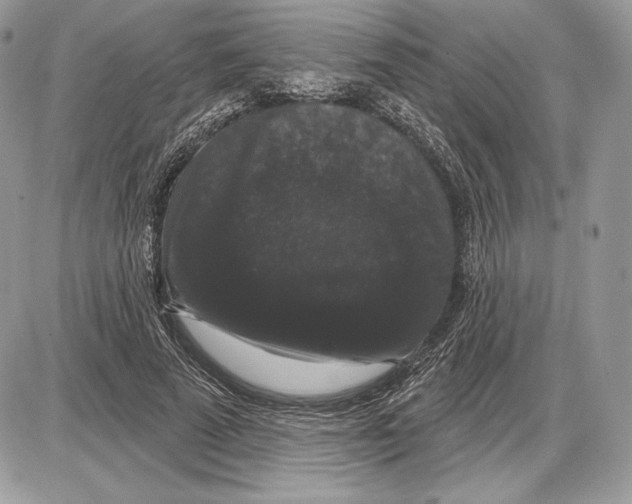 X0000085760689200704131738