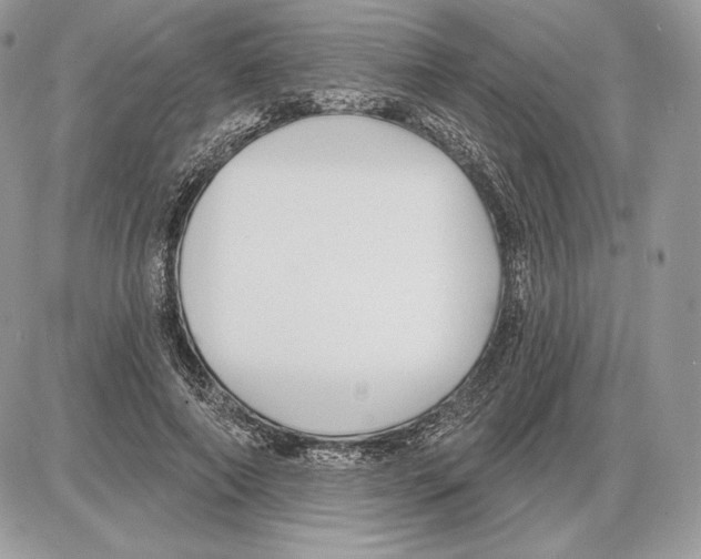 X0000085760690200704131738