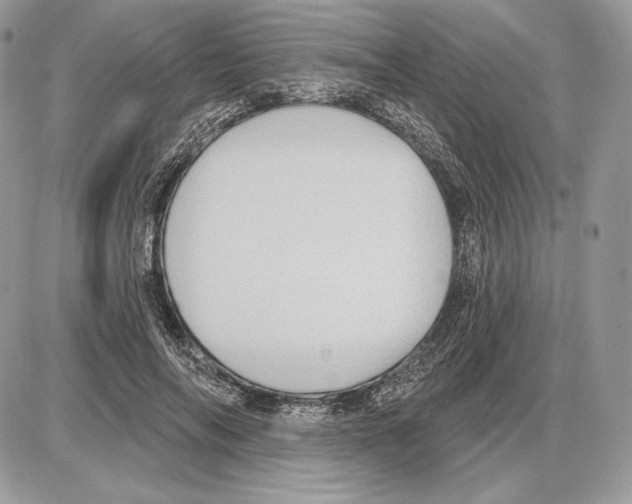 X0000085760694200704131738