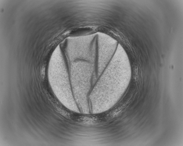 X0000085760697200704131738