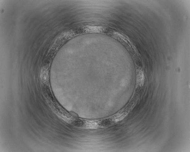 X0000085760701200704131738