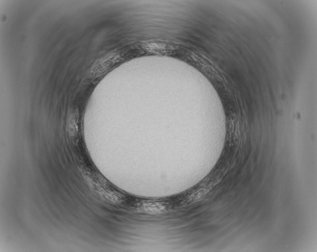 X0000085760702200704131738