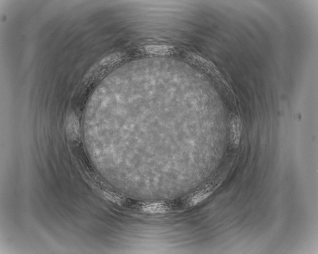 X0000085760705200704131738