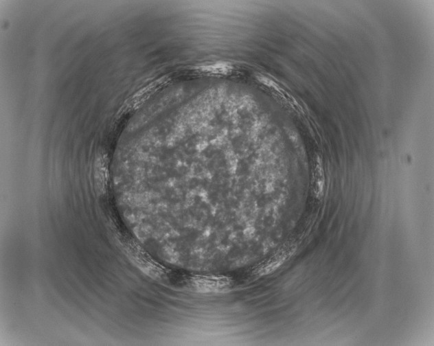 X0000085760707200704131738