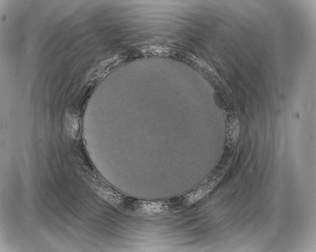X0000085760709200704131738