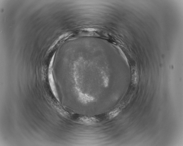 X0000085760712200704131738