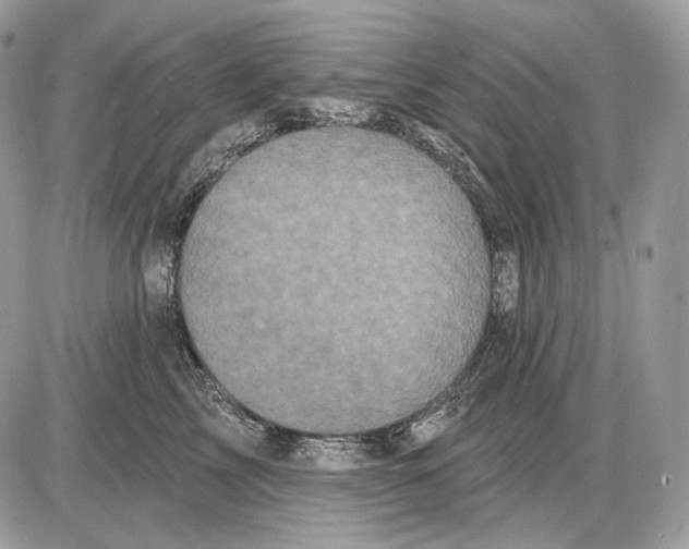 X0000085760713200704131738