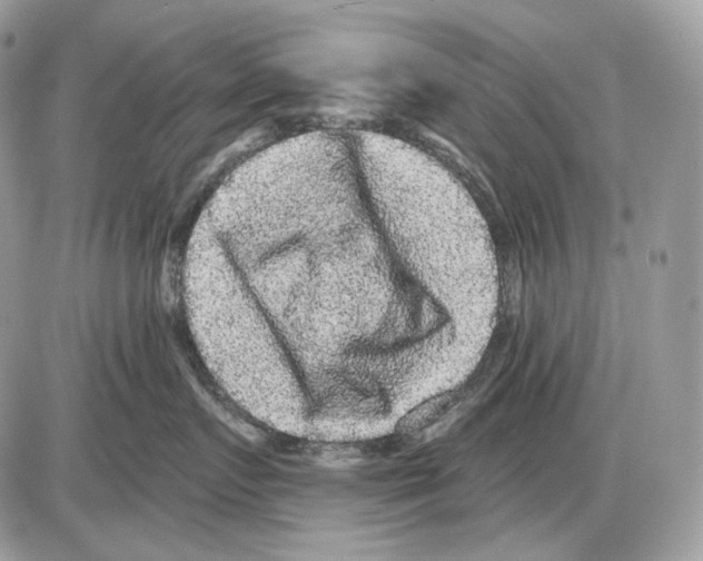 X0000085760719200704131738