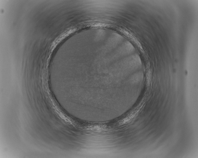X0000085760721200704131737
