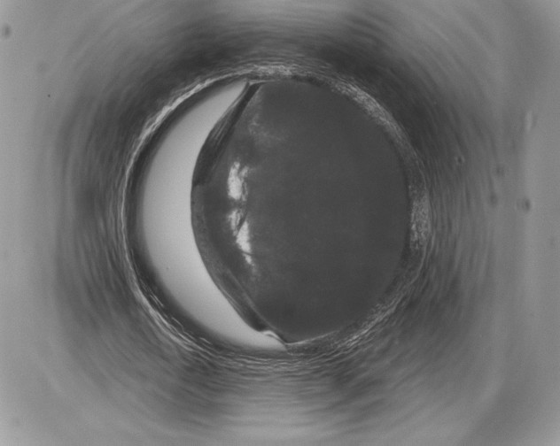 X0000085760722200704131737