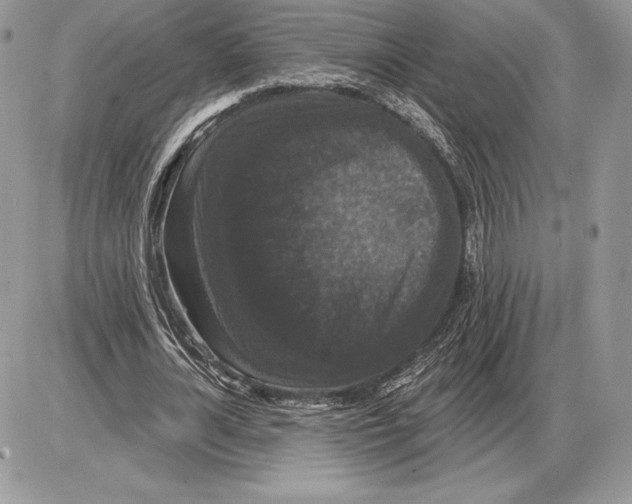 X0000085760724200704131737