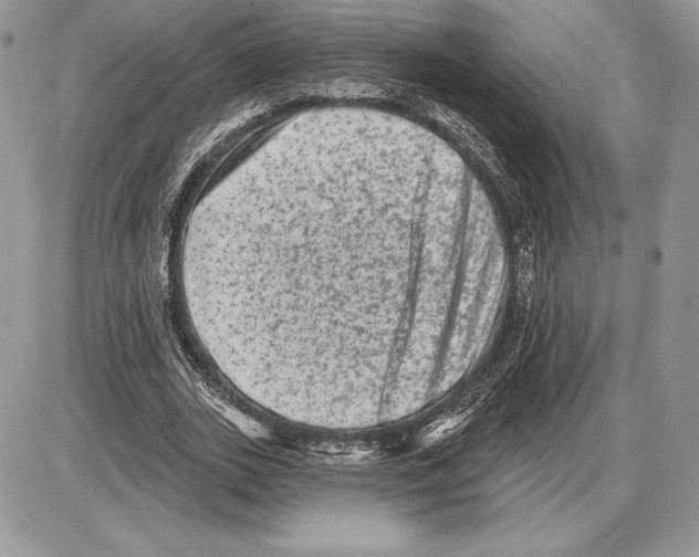 X0000085760727200704131737