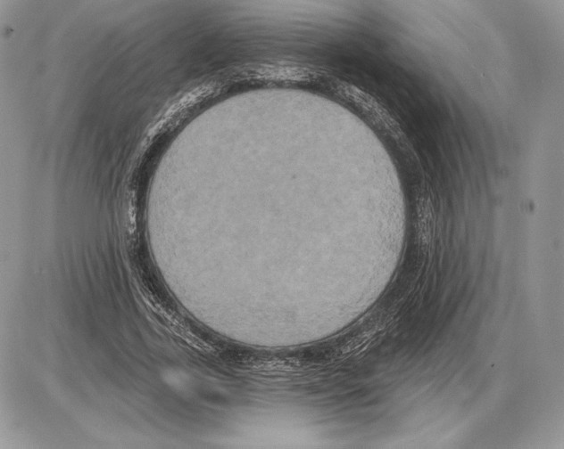 X0000085760731200704131737