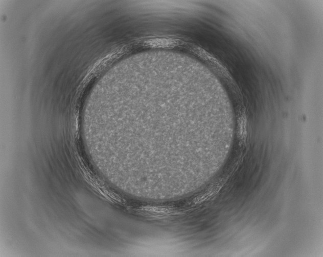 X0000085760733200704131737
