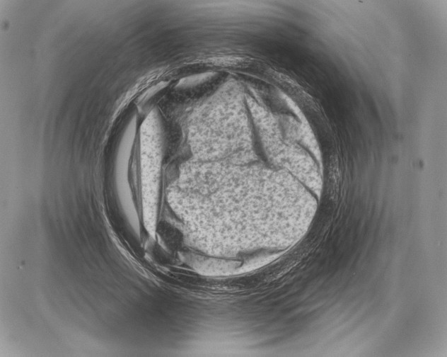 X0000085760734200704131737