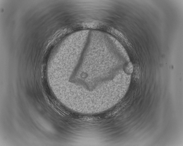 X0000085760738200704131737