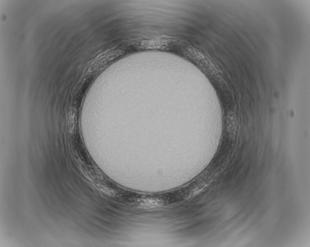 X0000085760741200704131737