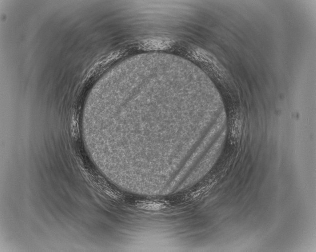X0000085760743200704131737