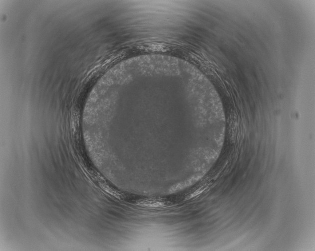 X0000085760747200704131737