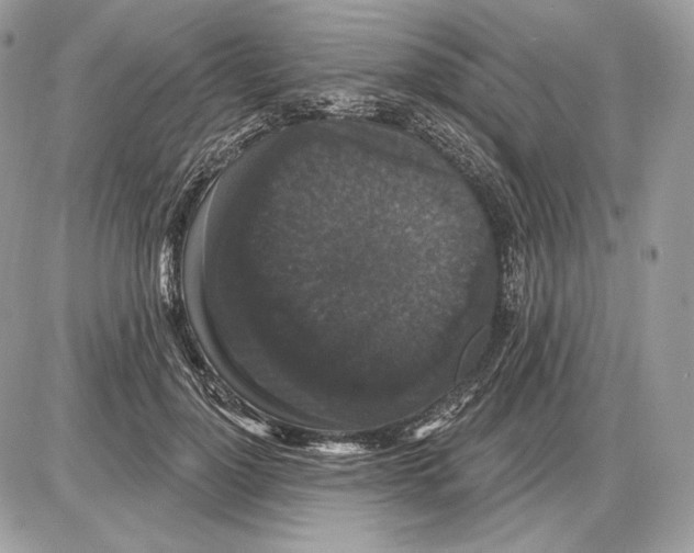 X0000085760748200704131737