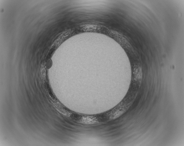 X0000085760753200704131737