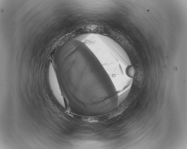 X0000085760754200704131737