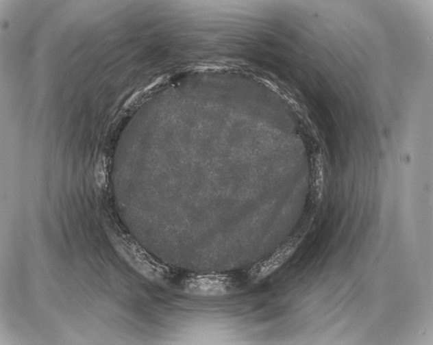 X0000085760758200704131737