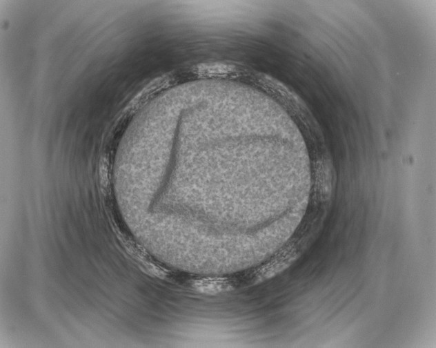 X0000085760761200704131737