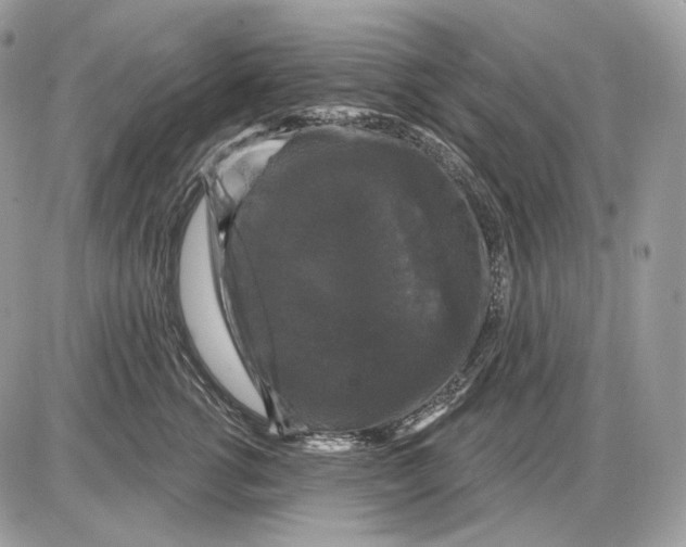 X0000085760762200704131737