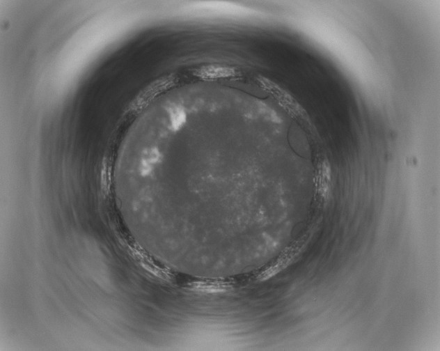 X0000085760763200704131738