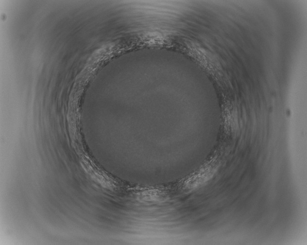 X0000085760769200704131737
