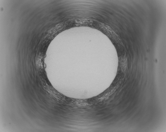 X0000085760770200704131737
